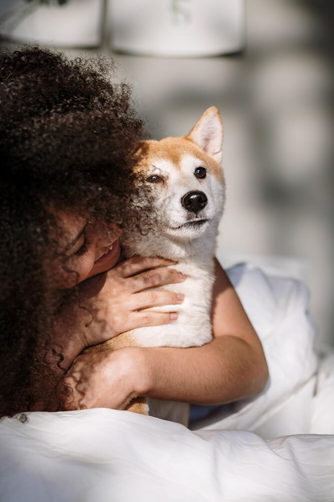 Lire la suite à propos de l’article Le shiatsu pour chien : qu’est-ce que c’est et comment faire ?